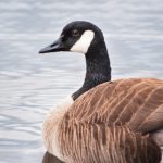 熟女另类首页 1ikrl