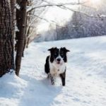 情侣图片一人一张 7u8w99