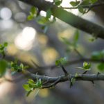 人伦片无码中文字幕 866m3hge8z