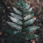 人妻穿着肉色丝袜出轨 8glu6mxkb