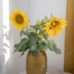 亚洲 春色 古典 小说 自拍 9jfejagbnw