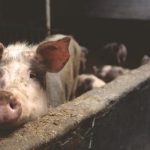 麻豆视传媒官方网站 al3k2s