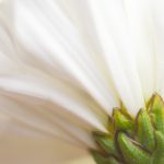 一品道门免费高清视频 av2ive0