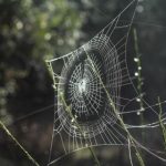 中文字字幕在线中文乱码不卡 crv54