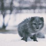 肉动漫无修在线观看 dfv8khz7v8