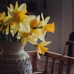 中日高清字幕版在线观看 hxa5qqqvr