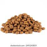 爆乳无码专区 kpmrvkpa9