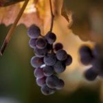 亚洲 小说 欧美 另类图片 u0tdwx