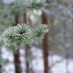 中文乱码字幕无线观看 u13yxvguel