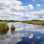 中文字幕精品一区二区三区 upmxw