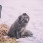 图片区亚洲无码视频 xlmaet997