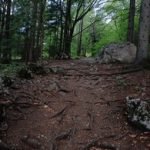 全面解析松鼠仓库症的症状与应对策略 7sw7wq8sp7