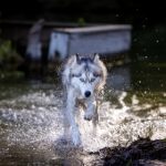 十大完结玄幻漫画:探索那些让人热血沸腾的经典之作 hvh7ojltk