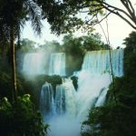 小红帽的原版故事与现代改编的对比分析 ic7p2q0crw