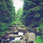 square root equivalent calculator:轻松计算平方根等值,提升数学效率与准确性 jd3ck