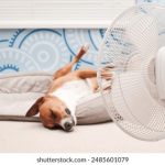 今天的天气情况如何?详细分析与预测 jdiy3j9