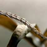 如何使用novipnoad轻松追剧并实现普通下载 lofaz2gncz