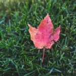 探索2048核基地多地址技术的应用与发展 5jobq