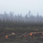 探索原神本子逆次元ACG的奇幻世界与创作灵感 740ed