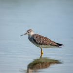 探索原神本子汉泽的魅力与故事 8omu66eo