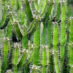 探索JMComic 2.0:全新MIC 1.4.8版本的精彩功能 cyf9yz