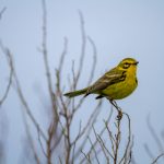 我的妈妈:泰语动画片与漫画的奇妙世界 f7l2wv84