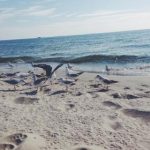 我的妈妈是大明星:她用爱与坚持照亮我的人生道路 fx0k2vex