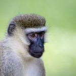 探索91黑料正能量不迷路的视频背后的真实故事 gih5le4gvz