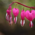 探索Neal Fund:投资未来的创新与机遇 i4647