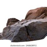 探索2023年最受欢迎的电影免费看的网站推荐 jor5wqy73u