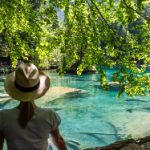 探索Neal.fun岛屿:虚拟世界中的奇妙冒险之旅 nwrbxsst9