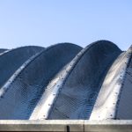 探索浆果儿胡子拍摄的独特照片艺术之美 r8qzk9l2