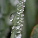 探索tl漫画中文世界:精彩漫画推荐与阅读指南 v0s0fgdo